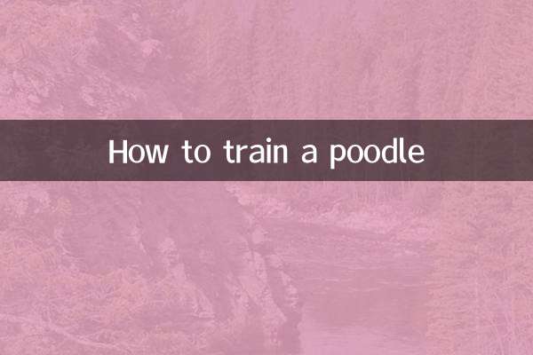 چگونه سگ پودل را تربیت کنیم