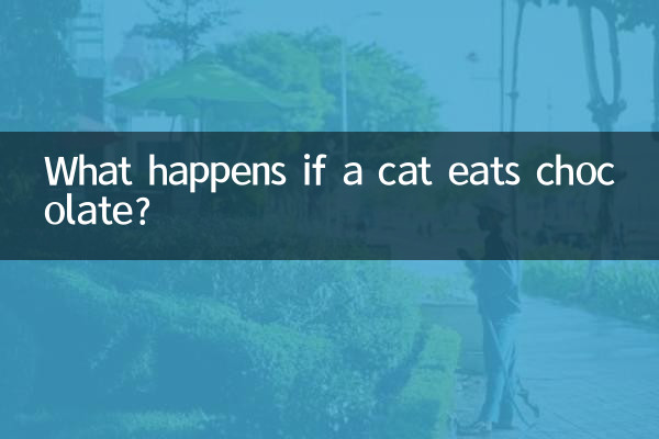 猫吃巧克力会怎么样