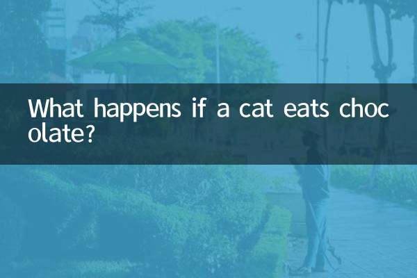 猫吃巧克力会怎么样