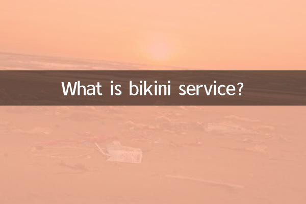 比基尼是什麼服務