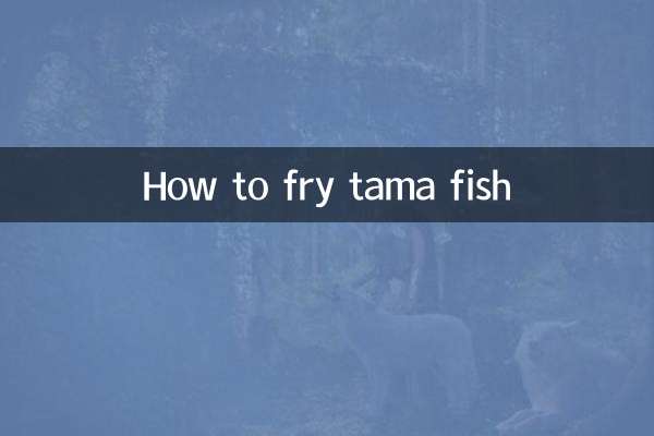 طرز سرخ کردن ماهی تاما