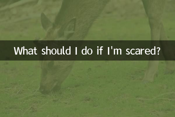 আমি ভয় পেলে কি করা উচিত?