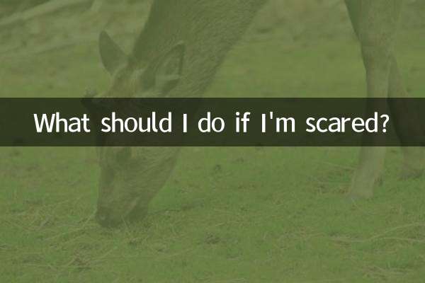 আমি ভয় পেলে কি করা উচিত?