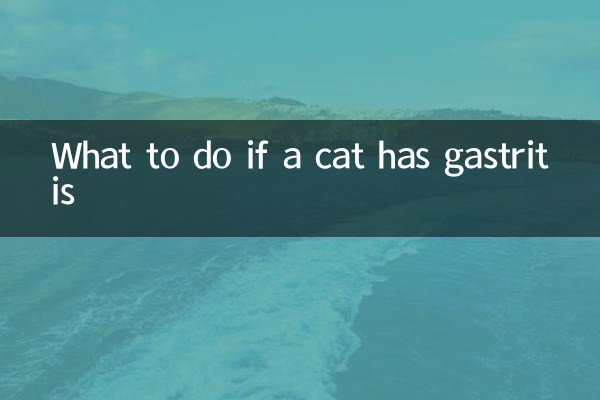 Что делать, если у кошки гастрит