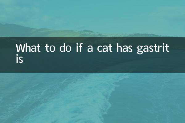 Что делать, если у кошки гастрит