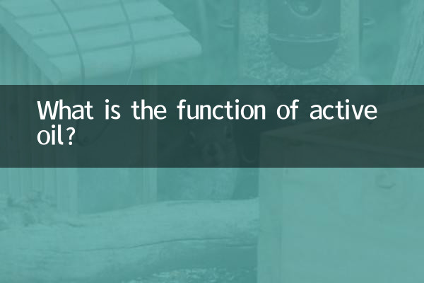 What is the function of active oil?