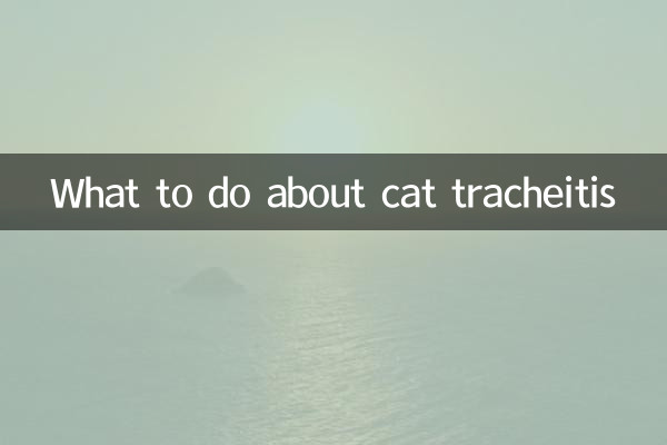 What to do about cat tracheitis