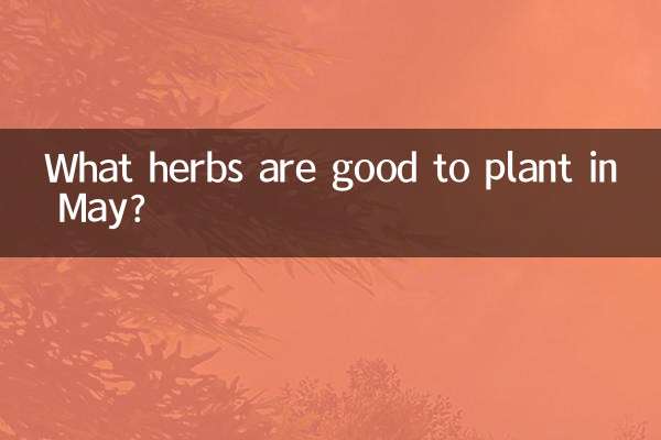 What herbs are good to plant in May?