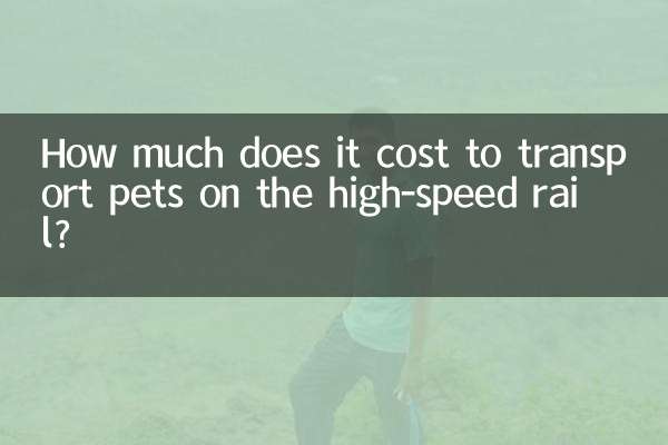 Wie viel kostet der Transport von Haustieren im Hochgeschwindigkeitszug?