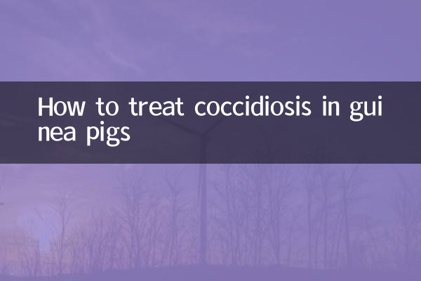 Come trattare la coccidiosi nelle cavie