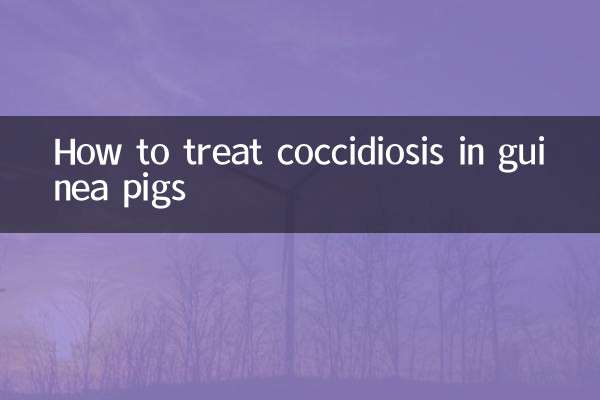 Cómo tratar la coccidiosis en cobayas