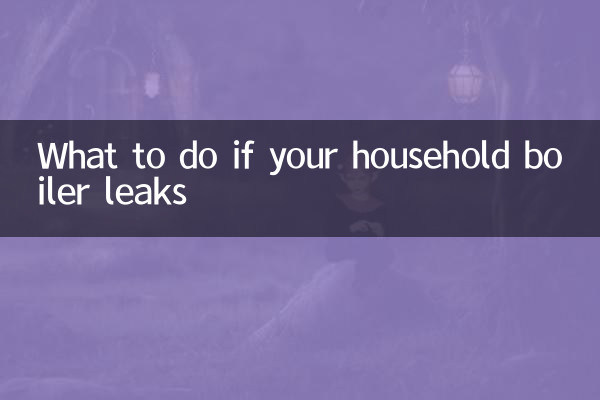 यदि आपका घरेलू बॉयलर लीक हो जाए तो क्या करें?
