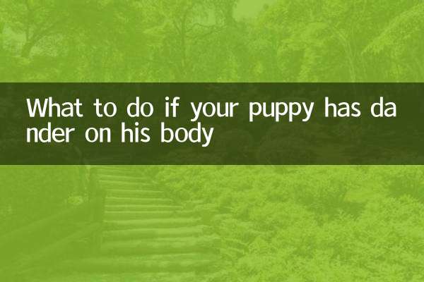 What to do if your puppy has dander on his body