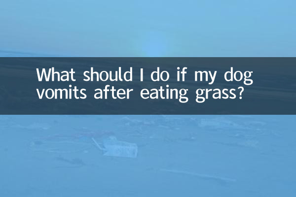 ماذا أفعل إذا تقيأ كلبي بعد تناول العشب؟