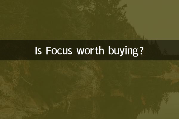 Focus를 구매할 가치가 있나요?