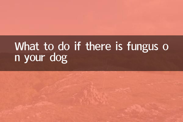 O que fazer se houver fungo em seu cachorro