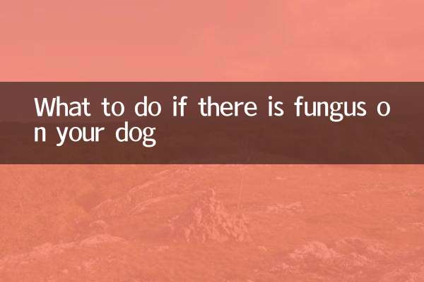 আপনার কুকুরের গায়ে ছত্রাক থাকলে কি করবেন