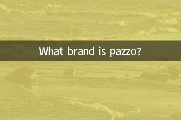 파조는 어떤 브랜드인가요?