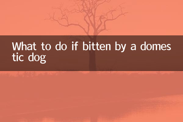 Que faire en cas de morsure par un chien domestique