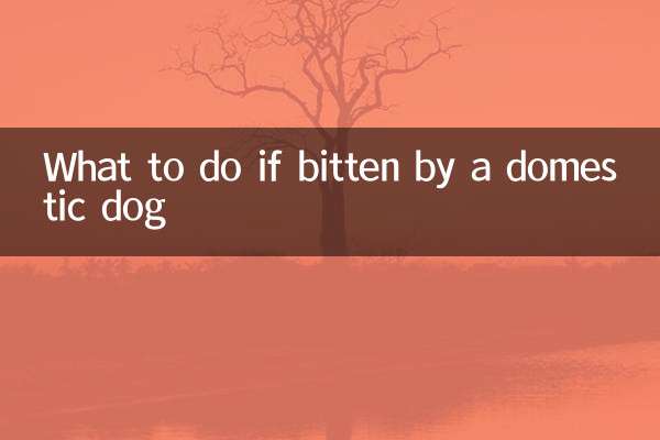 Que faire en cas de morsure par un chien domestique