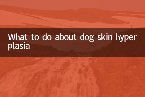 ما يجب القيام به حيال تضخم جلد الكلب