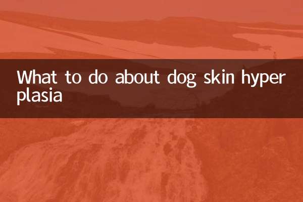 O que fazer com hiperplasia de pele de cachorro