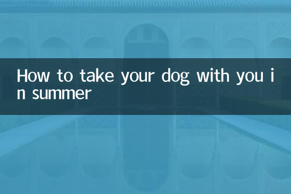 Come portare il cane con te in estate