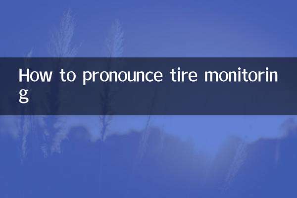 타이어 모니터링을 발음하는 법