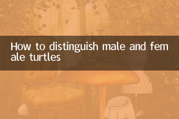Como distinguir tartarugas machos e fêmeas
