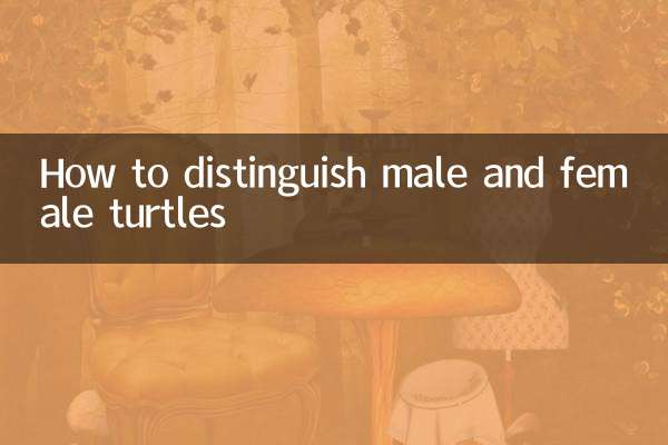 Cómo distinguir las tortugas macho y hembra
