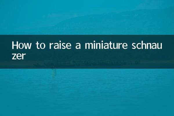 কিভাবে একটি ক্ষুদ্রাকৃতির schnauzer বাড়াতে