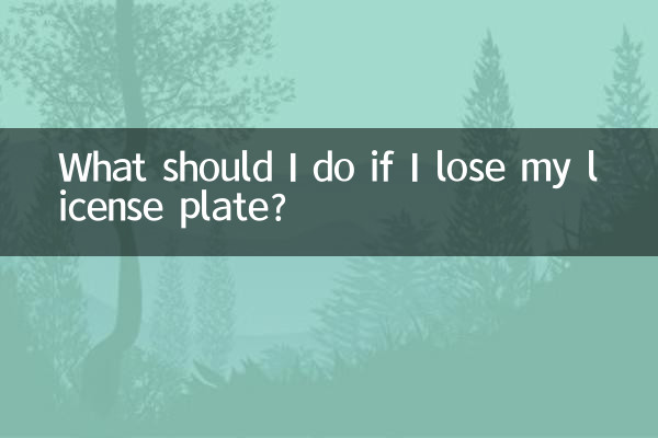 What should I do if I lose my license plate?