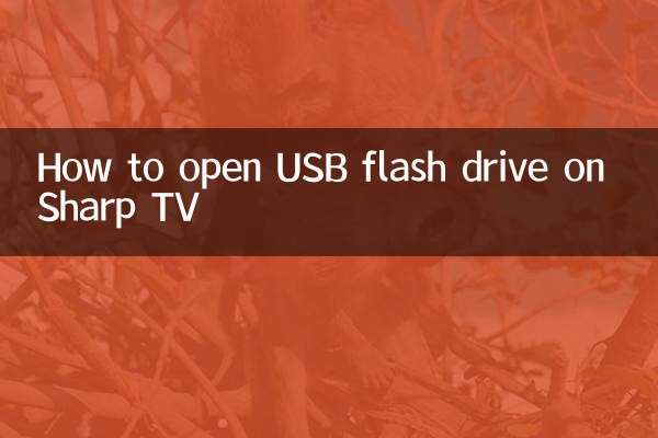How to open USB flash drive on Sharp TV