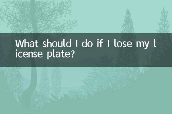 در صورت گم شدن پلاک چه کنم؟