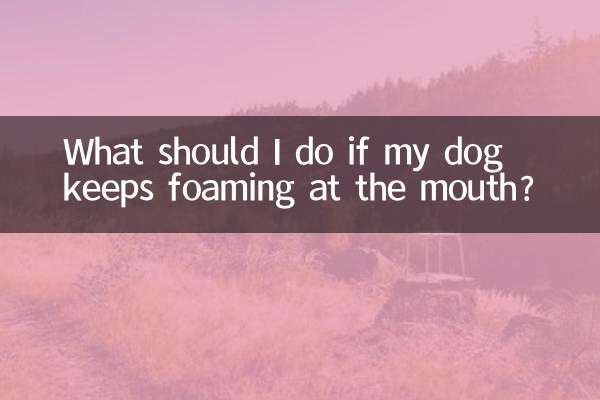 O que devo fazer se meu cachorro continuar espumando pela boca?