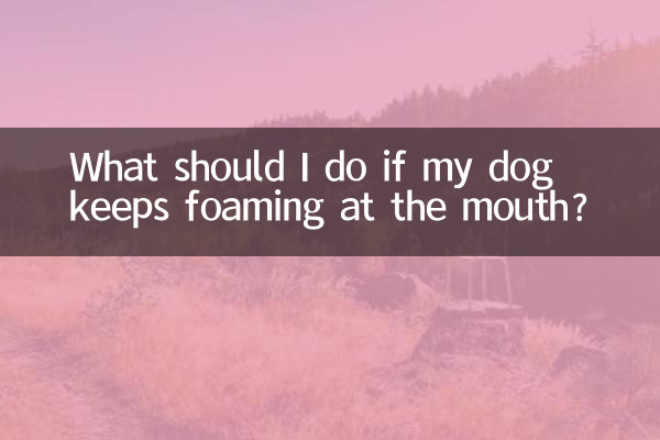 O que devo fazer se meu cachorro continuar espumando pela boca?