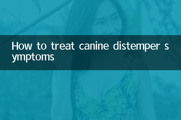 Как лечить симптомы чумы собак