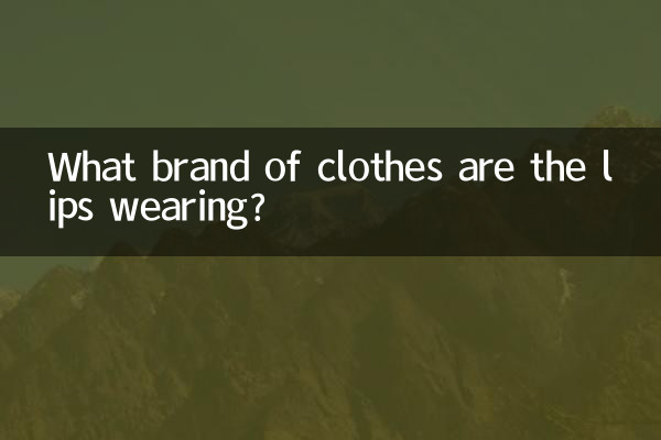 입술은 어떤 브랜드의 옷을 입고 있나요?