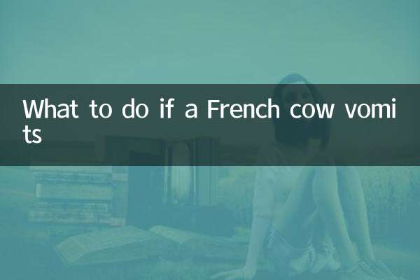 Was tun, wenn eine französische Kuh erbricht?