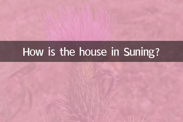 Comment est la maison à Suning?