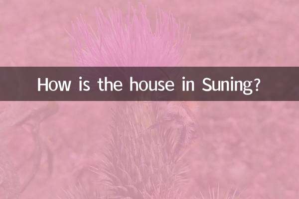 Comment est la maison à Suning?