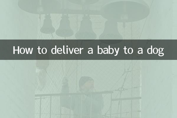 بچے کو کتے کو کیسے پہنچایا جائے