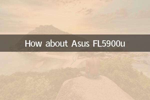 Wie wäre es mit Asus FL5900U