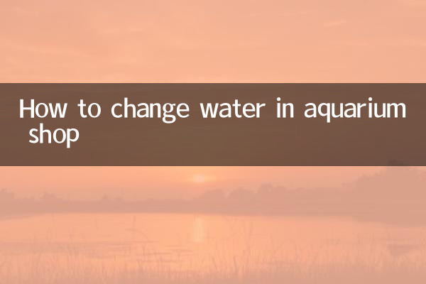 So wechseln Sie das Wasser im Aquariengeschäft