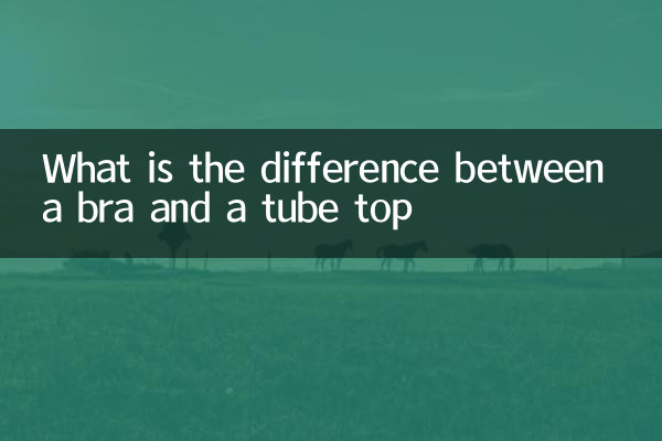 What is the difference between a bra and a tube top?