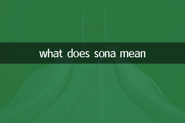 ماذا يعني سونا