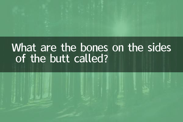 What are the bones on the sides of the butt called?