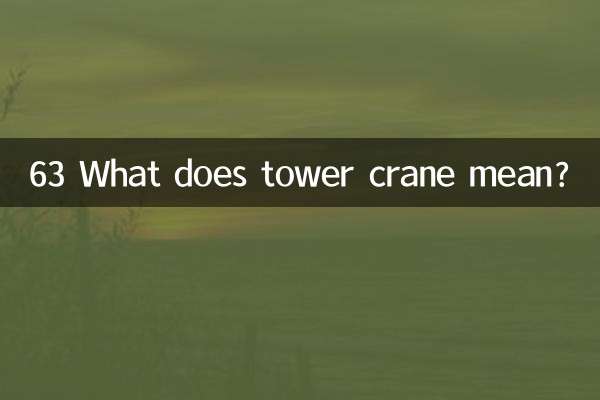63 ¿Qué significa grúa torre?