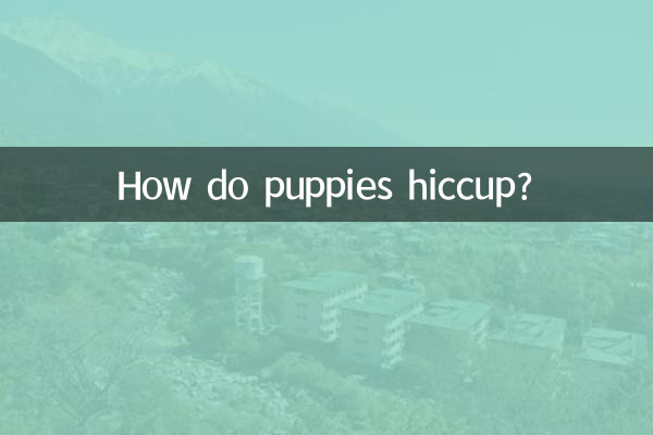 Как щенки икают?