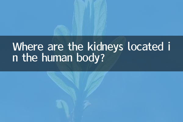 گردے انسانی جسم میں کہاں واقع ہیں؟